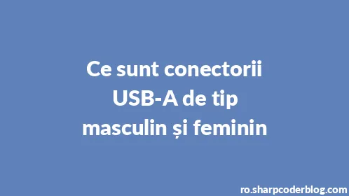 Ce sunt conectorii USB-A de tip masculin și feminin - Thumbnail